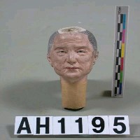 藏品(圓頭鬃)的圖片